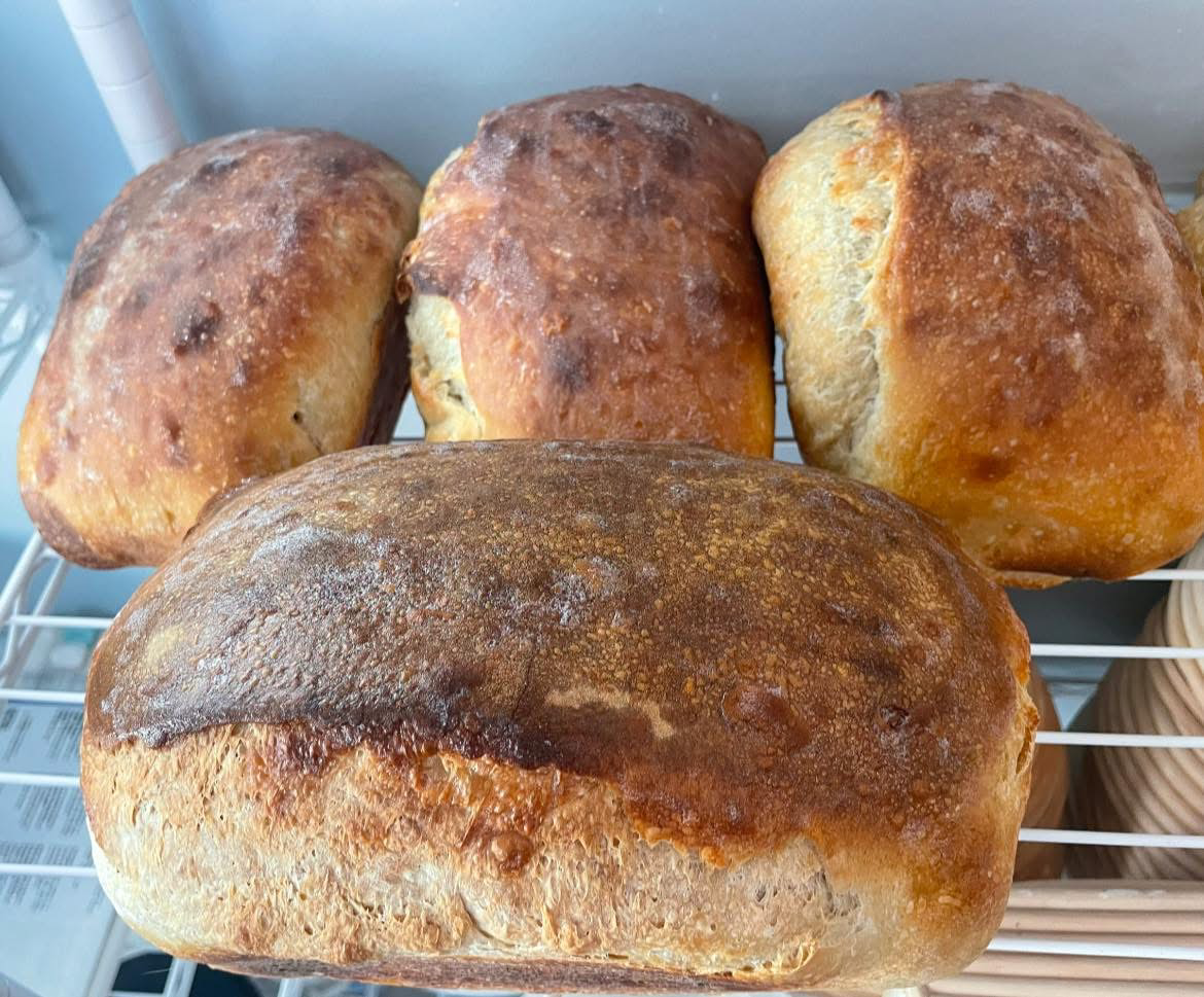 Sandwich Bread